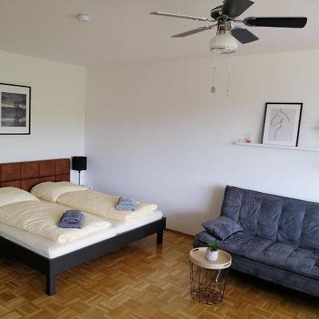Uhldingen-Mühlhofen Sonnige Ferienwohnung Mit Seeblick מראה חיצוני תמונה